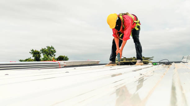 Best Roof Moss and Algae Removal  in Mountain Road, VA